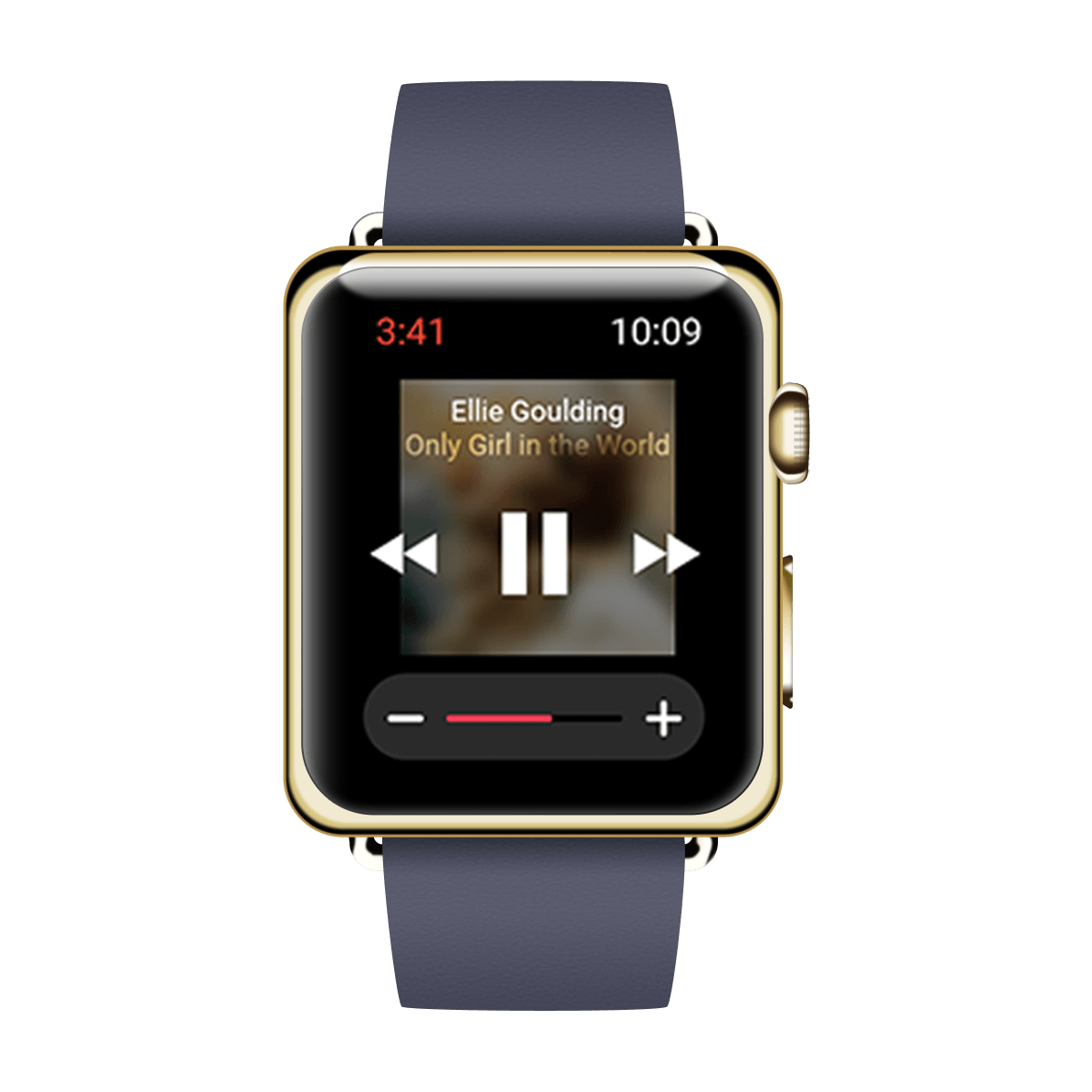 Steel Case Apple Watch